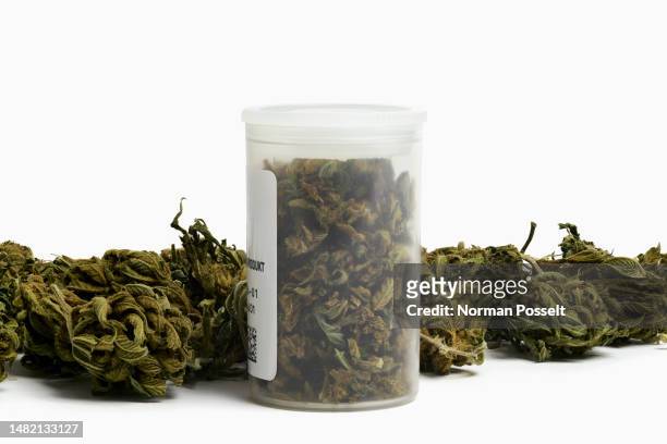 still life close up medical cannabis in prescription bottle - medical marijuana law stock pictures, royalty-free photos & images