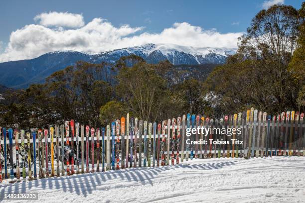 ski fence in sunny, idyllic winter mountains - winter skiing australia stock pictures, royalty-free photos & images