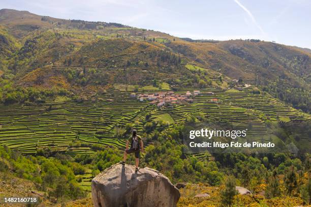a man looking at sistelo, the little portuguesetibet, arcos de valdevez, portugal. - viana do castelo district stockfoto's en -beelden