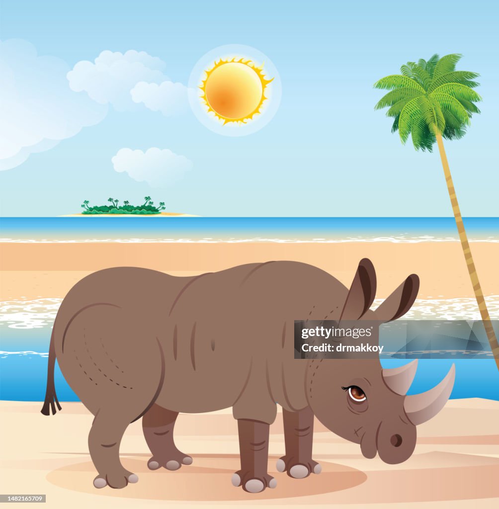 Rhinno in the Beach