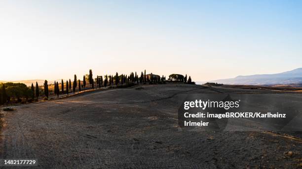 country house with cypress avenue on a hill, first morning sun, drone shot, near pienza, tuscany, italy - first avenue stock illustrations