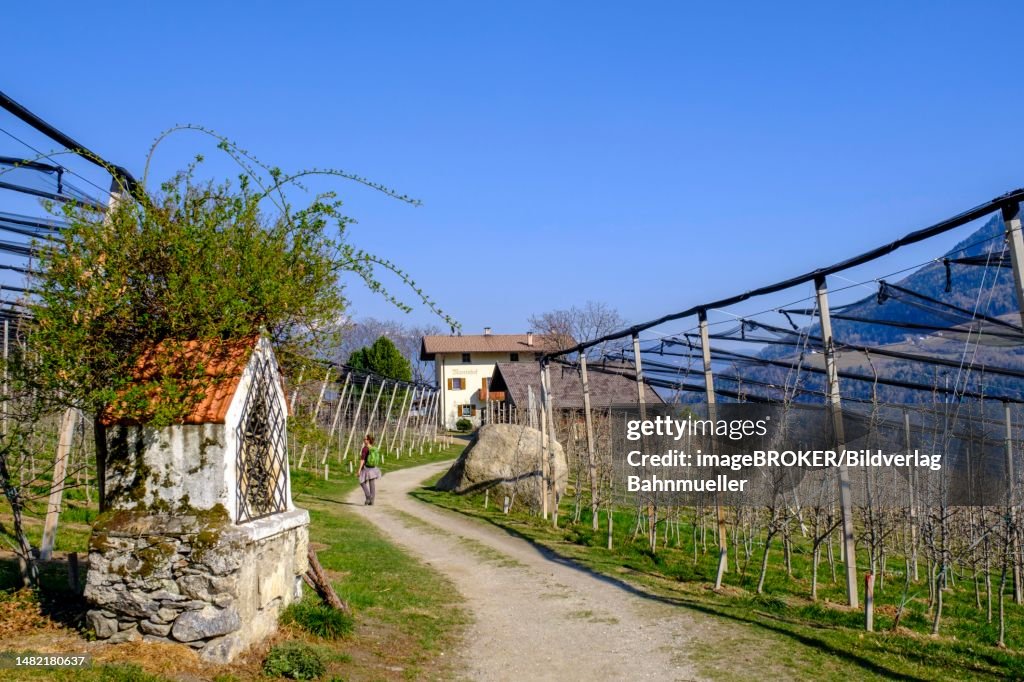 Wayside shrine, Partschins, Vinschgau, South Tyrol, Italy