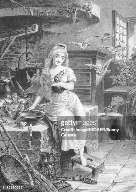 cinderella or cinderella, girl sitting at the stove surrounded by many birds, kitchen scene, germany, historisch, historical, digitally improved reproduction of an original from the 19th century, digitally restored reproduction of an original from the - historisch stock illustrations