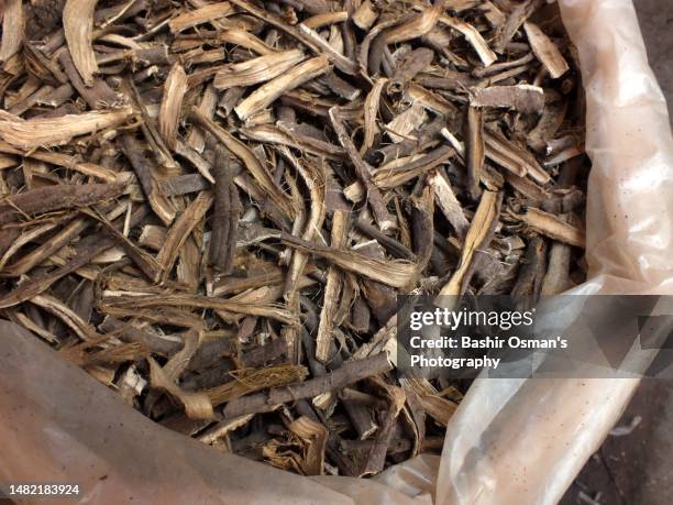 Ditor Tree Datun 51 Tree Whitening Stock Photos, High-Res Pictures, and Images - Getty ...