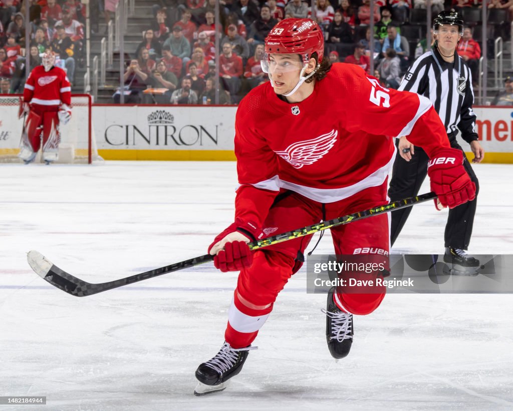 Dallas Stars v Detroit Red Wings