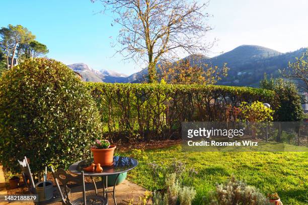 corner of springtime back garden, hedge,  mountain range. - sunny backyard stock pictures, royalty-free photos & images