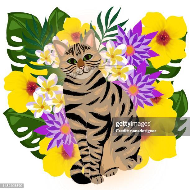 bildbanksillustrationer, clip art samt tecknat material och ikoner med tropical cat - spräcklig katt