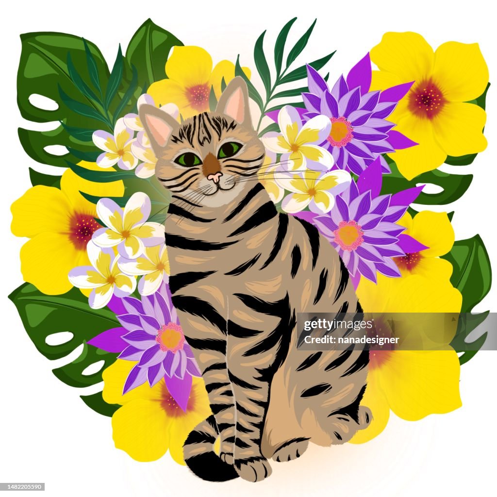 Tropical cat