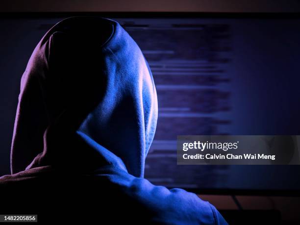 rear view of user typing in front of computer screen - desonestidade imagens e fotografias de stock