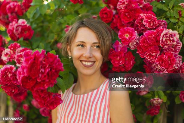 blonde woman in dress on background of rose bush. garden. spring background - red roses garden stock pictures, royalty-free photos & images