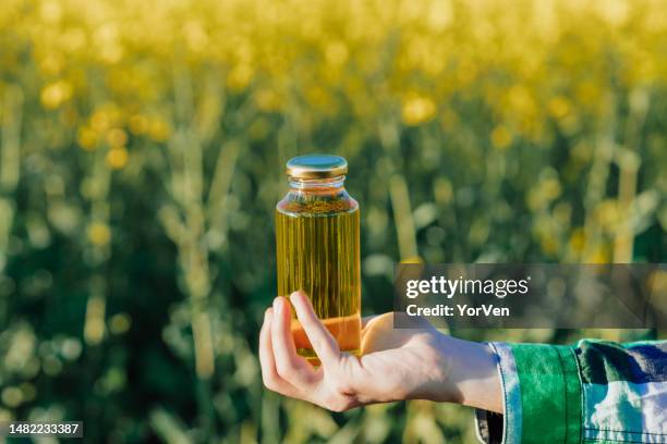 männliche bauernhand, die eine durchsichtige glasflasche mit rapsöl in einem rapsfeld hält - ölrübsen stock-fotos und bilder