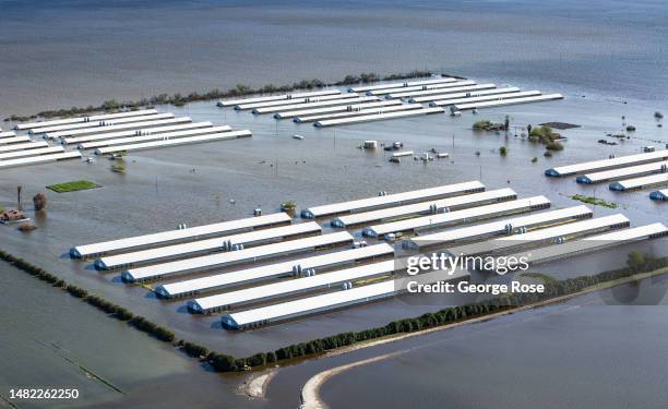 Turkey farm swamped by the re-emergence of Tulare Lake, a once great body of water in the southern Central Valley, now beginning to fill again due to...