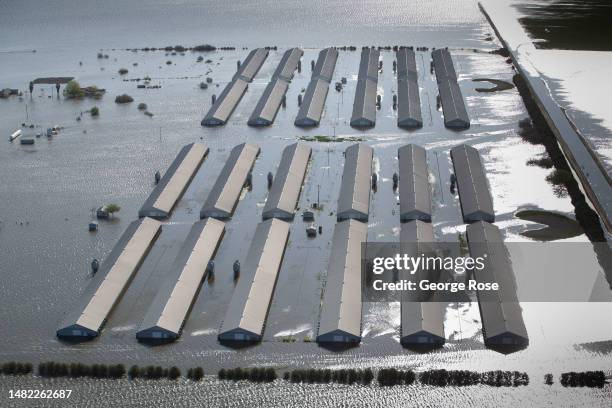 Flooded turkey farm in the middle of the re-emergence of Tulare Lake, a once great body of water in the southern Central Valley, now beginning to...