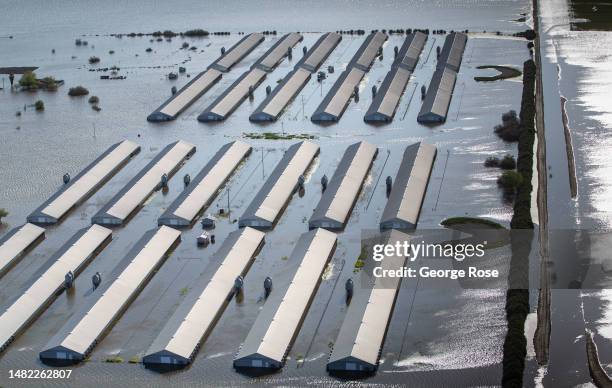 Flooded turkey farm in the middle of the re-emergence of Tulare Lake, a once great body of water in the southern Central Valley, now beginning to...