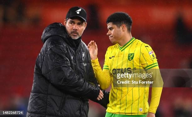 Norwich player head coach David Wagner and player Gabriel Sara react after the Sky Bet Championship between Middlesbrough and Norwich City at...