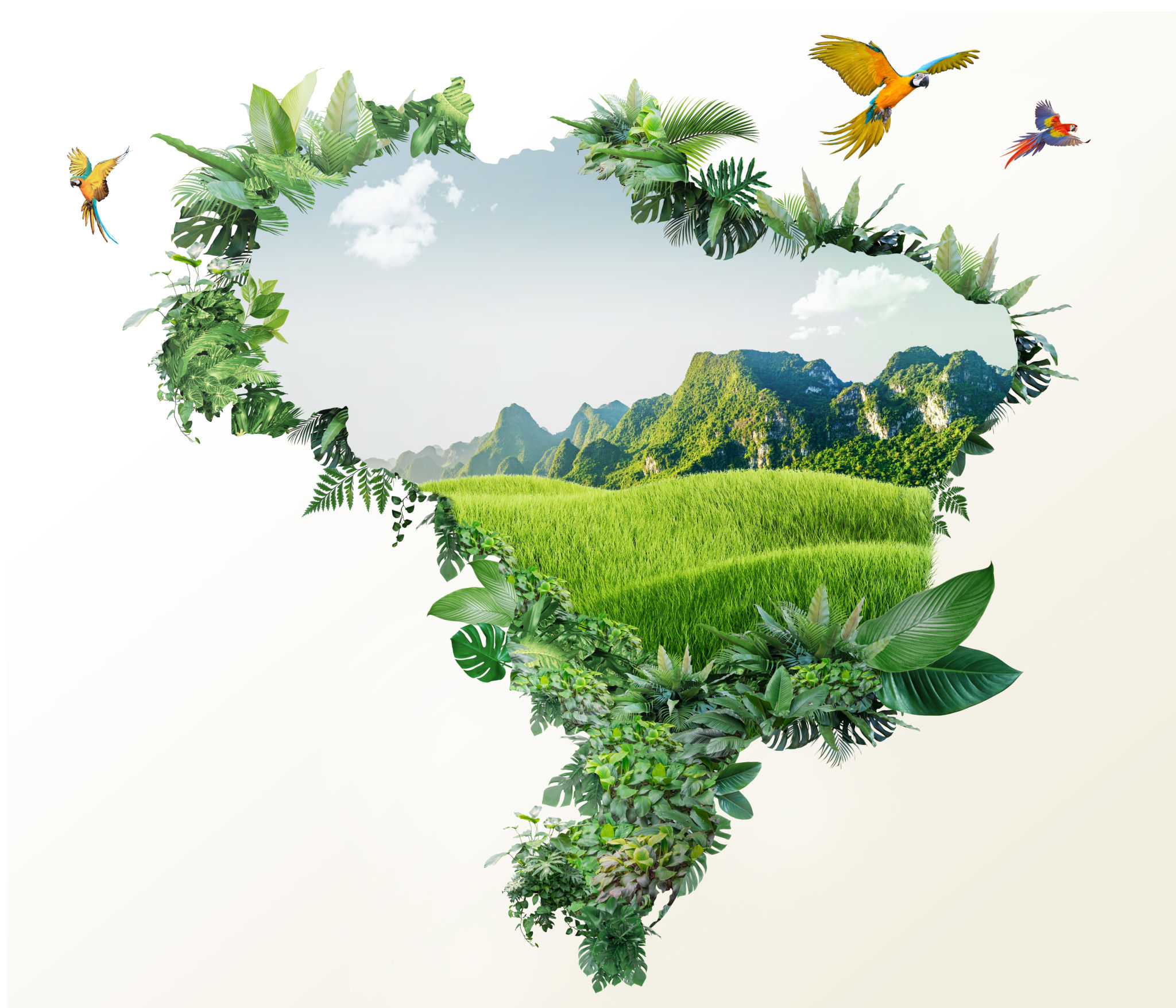 web3 sustainability Brazil
