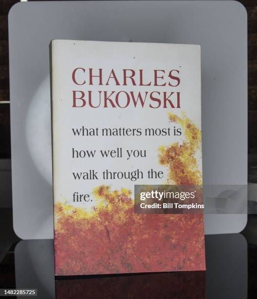 May 13: Book: What matters most is how well you walk through the fire. By author Charles Bukowski on May 13th, 2013 in New York City.