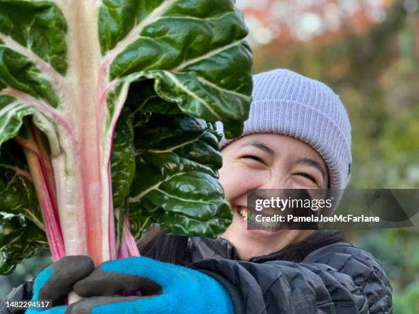 portrait en gros plan d’une jeune femme multiraciale souriante tenant chard harvest - blette photos et images de collection
