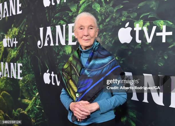 Jane Goodall attends the Los Angeles Premiere Of Apple TV+ Original Series "Jane" at The California Science Center on April 14, 2023 in Los Angeles,...