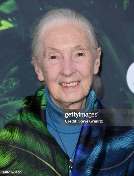 Jane Goodall arrives at the Los Angeles Premiere Of Apple TV+ Original Series "Jane" at California Science Center on April 14, 2023 in Los Angeles,...