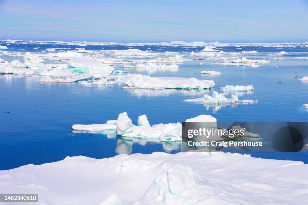 a multitude of icebergs in the weddell sea. - weddell sea stockfoto's en -beelden