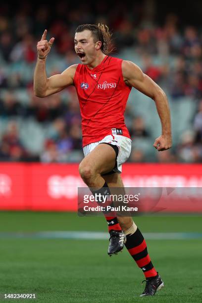 Sam Draper of the Bombers celebrates a goal during the round five AFL match between Essendon Bombers and Melbourne Demons at Adelaide Oval, on April...