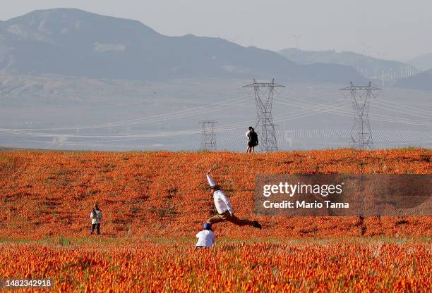 Person leaps while posing for a photo in a field of blooming poppy flowers near the Antelope Valley California Poppy Reserve following an unusually...