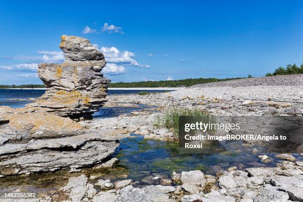 stone beach with limestone pillar, raukar and grasses, former harbour basin gamle hamn or gamla hamn, faroe island, faroe, gotland, baltic sea, sweden - hamn 個照片及圖片檔