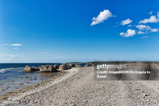 stone beach with raukar and view of the former harbour basin gamle hamn or gamla hamn, hikers on the horizon, faroe island, faroe, gotland, baltic sea, sweden - hamn 個照片及圖片檔