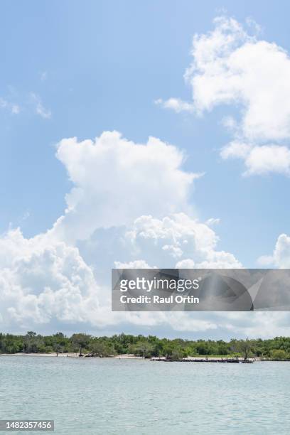 scenic beach view of tropical island holbox in caribbean sea, mexico - holbox island stockfoto's en -beelden