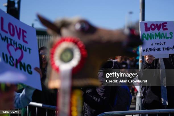 Animal rights activists protest against the Grand National taking place outside the entrance on Grand National Day during day three of the Grand...