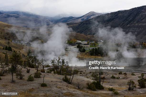 upper terraces, mammoth hot springs, yellowstone national park - mammoth hot springs fotografías e imágenes de stock