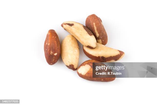 brazil nuts on white background close up - se stock pictures, royalty-free photos & images