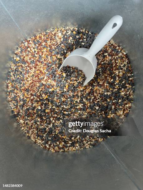 close-up of wild bird seed in a large bin with scoop - bird seed stockfoto's en -beelden
