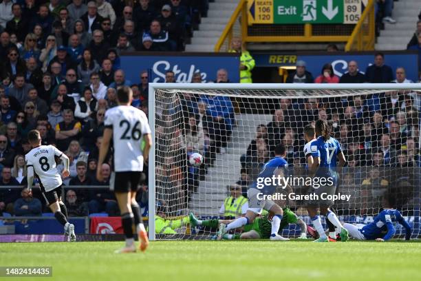 Harry Wilson of Fulham scores the team's second goal past Jordan Pickford of Everton during the Premier League match between Everton FC and Fulham FC...