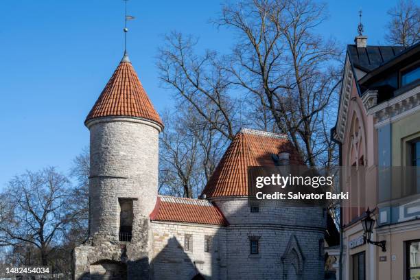 viru gate of talinn, estonia - viru viru stock pictures, royalty-free photos & images