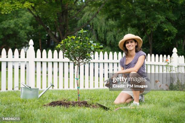 woman with newly planted tree - woman kneeling stockfoto's en -beelden