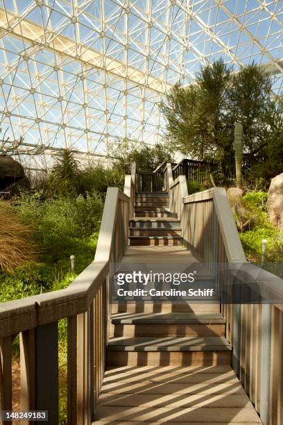 fußgängerweg und pflanzen im gewächshaus - biosphere 2 stock-fotos und bilder