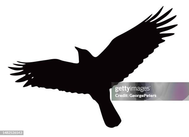 raven flying with blurred motion - bird claws stock illustrations