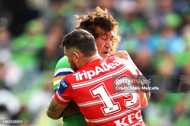 Josh Papali'i of the Raiders is tackled by Jack Bird of the Dragons during the round seven NRL match between Canberra Raiders and St George Illawarra...