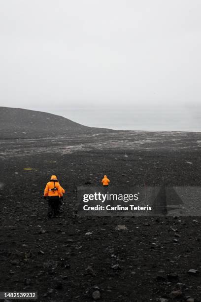 hikers from a cruise ship on a volcano in antarctica - deception island stock pictures, royalty-free photos & images