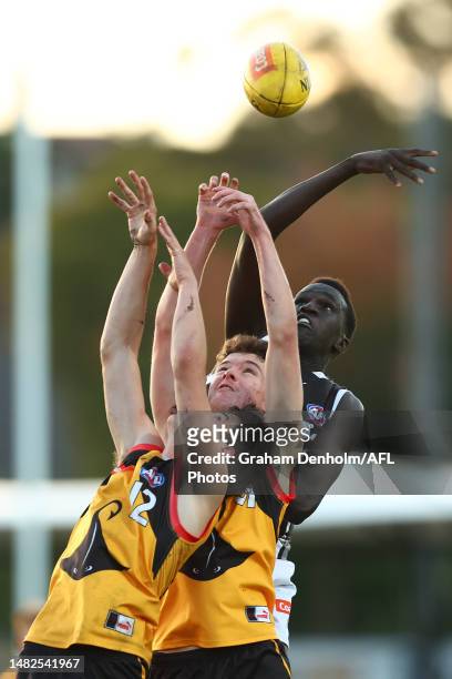 Deng Lual of the GWV Rebels competes in the air during the round four Coates Talent League Boys match between Dandenong Stingrays and GWV Rebels at...