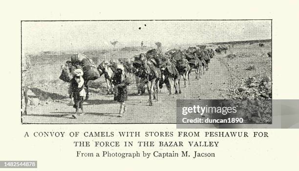 vintage illustration after a photograph convoy of camels with stores from peshawur for force in the bazar valley, 1890s, 19th century - mozambique war stock illustrations