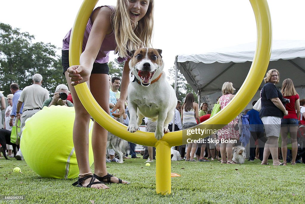 Beneful Dream Dog Park Unveil Event