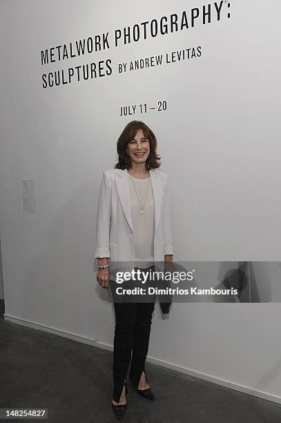 Anne Archer attends "Metal Works Photography: Sculptures" By Andrew Levitas Exhibition at Phillips de Pury & Company on July 12, 2012 in New York...