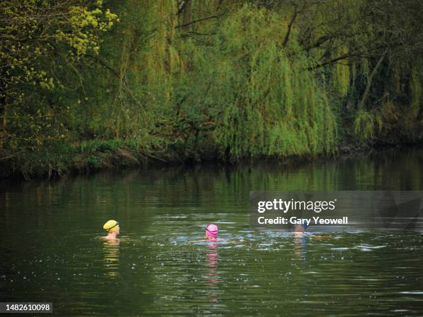 group of female open water swimmers - swimming stock pictures, royalty-free photos & images