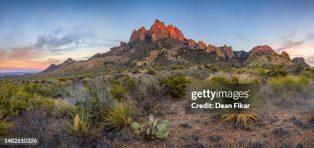 green gulch sunset panorama - cactus water stock pictures, royalty-free photos & images