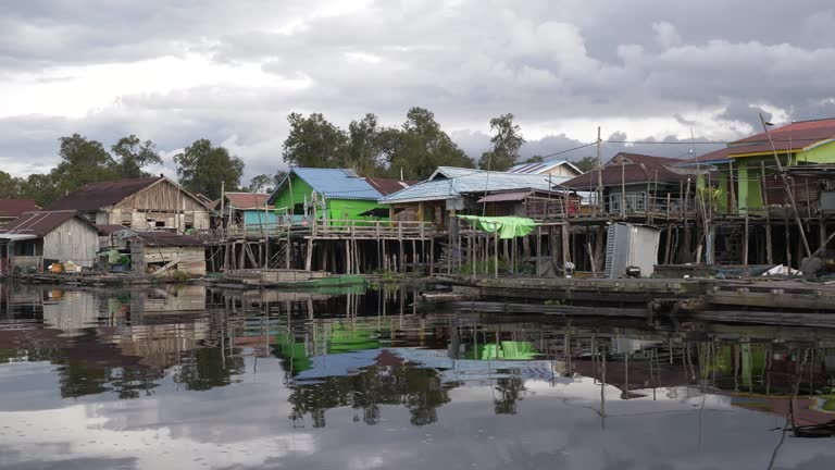Sentarum 130 Danau Sentarum National Park Stock Videos, Footage, & 4K Video ...
