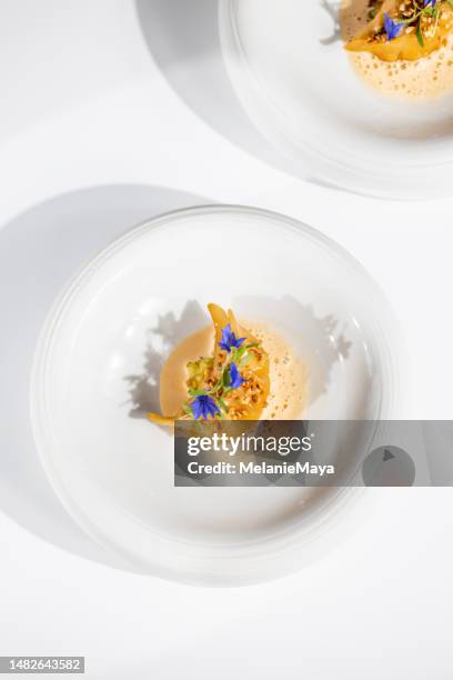 plato gourmet gyoza japonés con estrella michelin con espuma de gambas y langosta de marisco - servicio de calidad fotografías e imágenes de stock