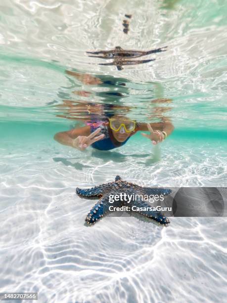 donna che fa snorkeling intorno a una bella stella marina blu sulla sabbia bianca pura del fondale marino - zanzibar foto e immagini stock